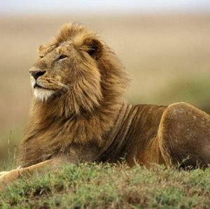 Meet your Posher, Alicia